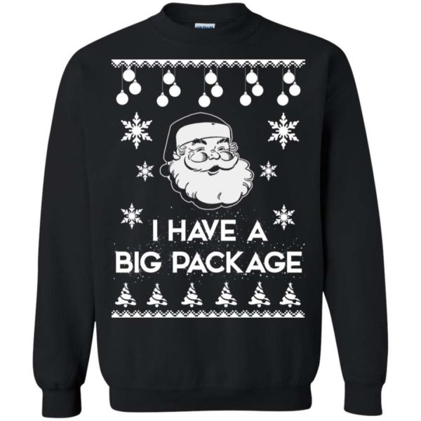 Santa I have a big package Christmas sweater Apparel