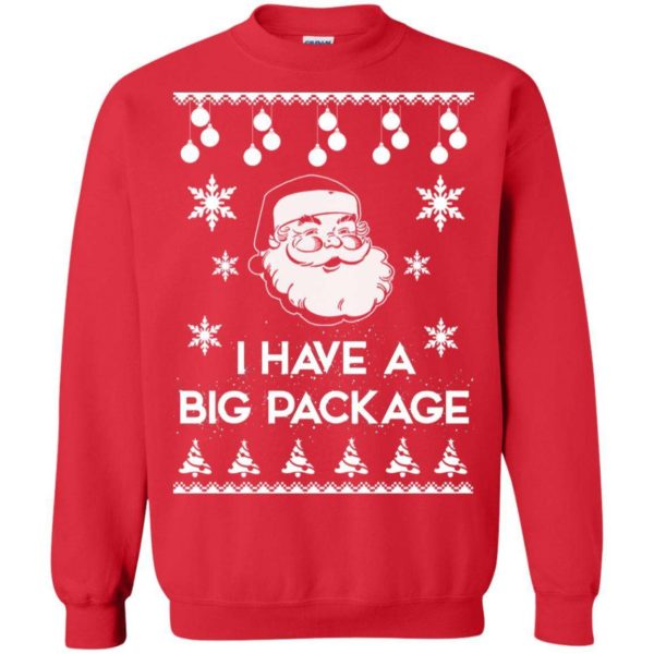 Santa I have a big package Christmas sweater Apparel