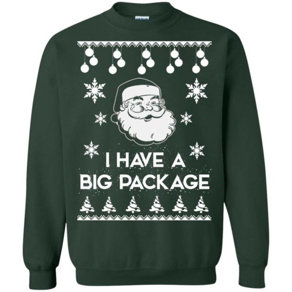 Santa I have a big package Christmas sweater Apparel