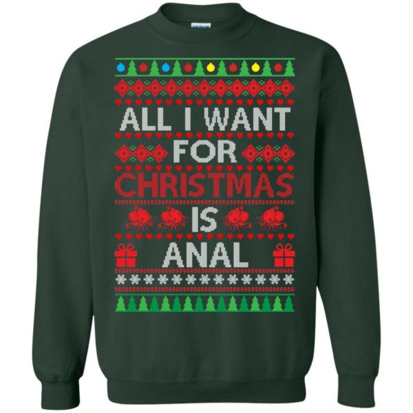 All I want for Christmas is Anal sweater Apparel