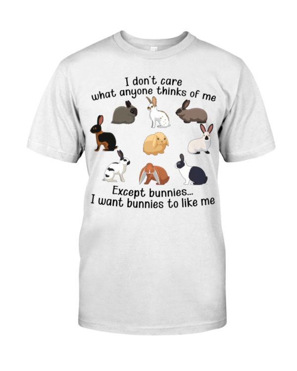 I Don't Care What Anyone Thinks Of Me Shirt Apparel