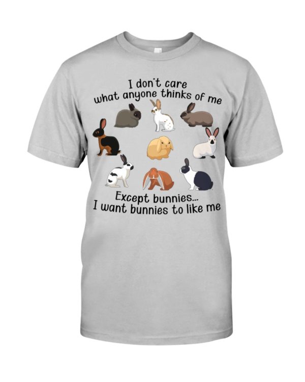 I Don't Care What Anyone Thinks Of Me Shirt Apparel