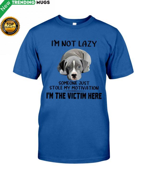 I'm Not Lazy Shirt, Hoodie Apparel
