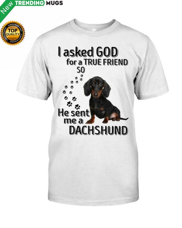 I Asked God For A True Friend So He Sent Me A Dachshund Shirt, Hoodie Apparel