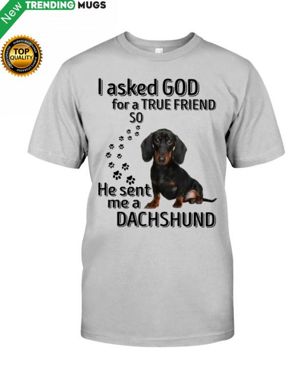 I Asked God For A True Friend So He Sent Me A Dachshund Shirt, Hoodie Apparel