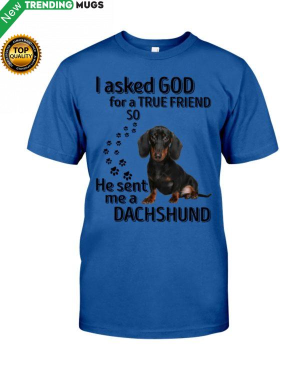 I Asked God For A True Friend So He Sent Me A Dachshund Shirt, Hoodie Apparel