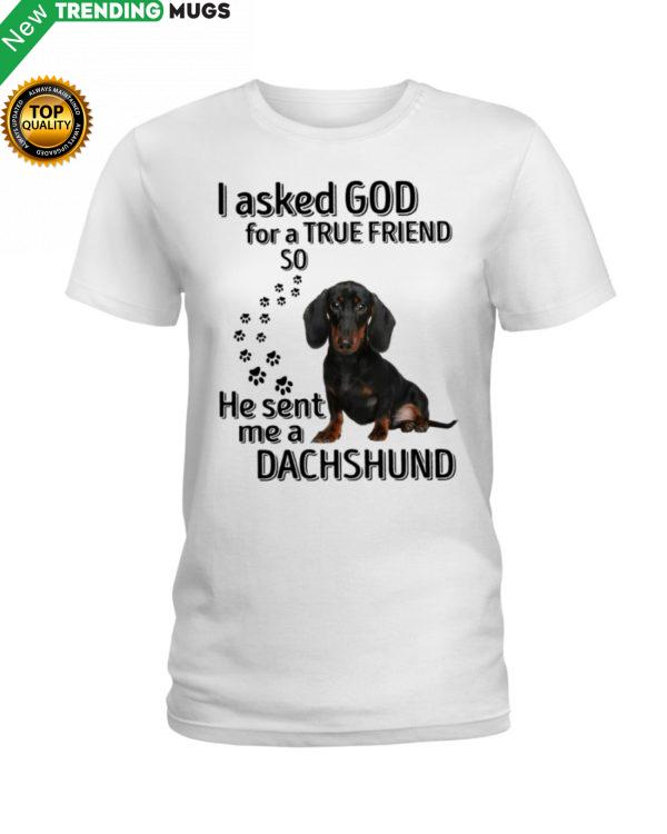 I Asked God For A True Friend So He Sent Me A Dachshund Shirt, Hoodie Apparel