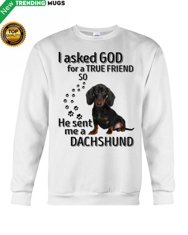 I Asked God For A True Friend So He Sent Me A Dachshund Shirt, Hoodie Apparel