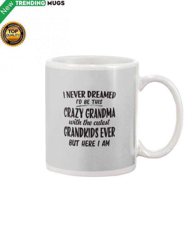 I Never Dreamed Id Be This Crazy Grandma With Mug Apparel