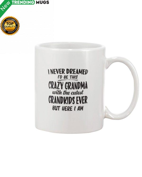 I Never Dreamed Id Be This Crazy Grandma With Mug Apparel